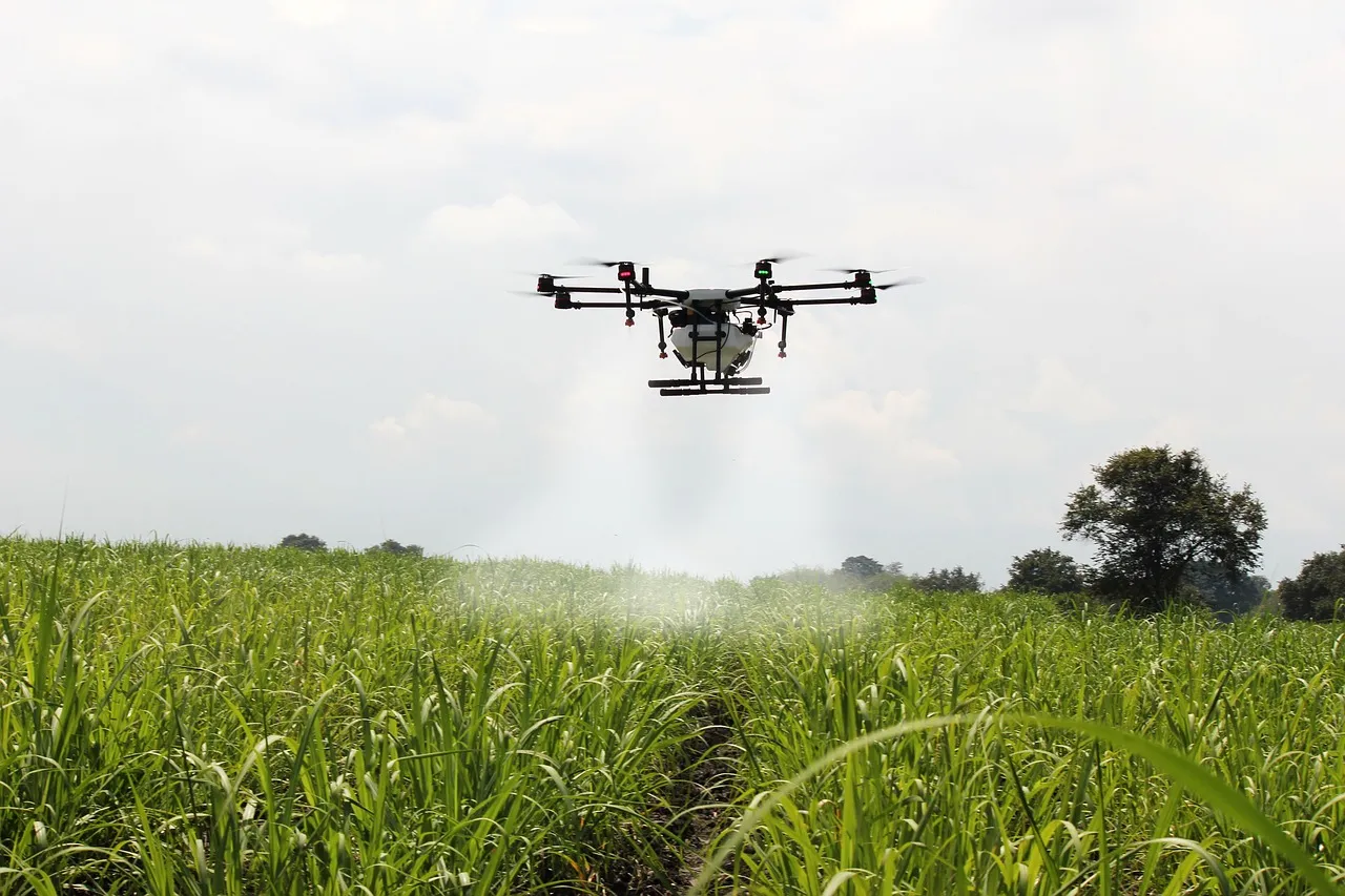 Drones being used for spraying pesticides on crops