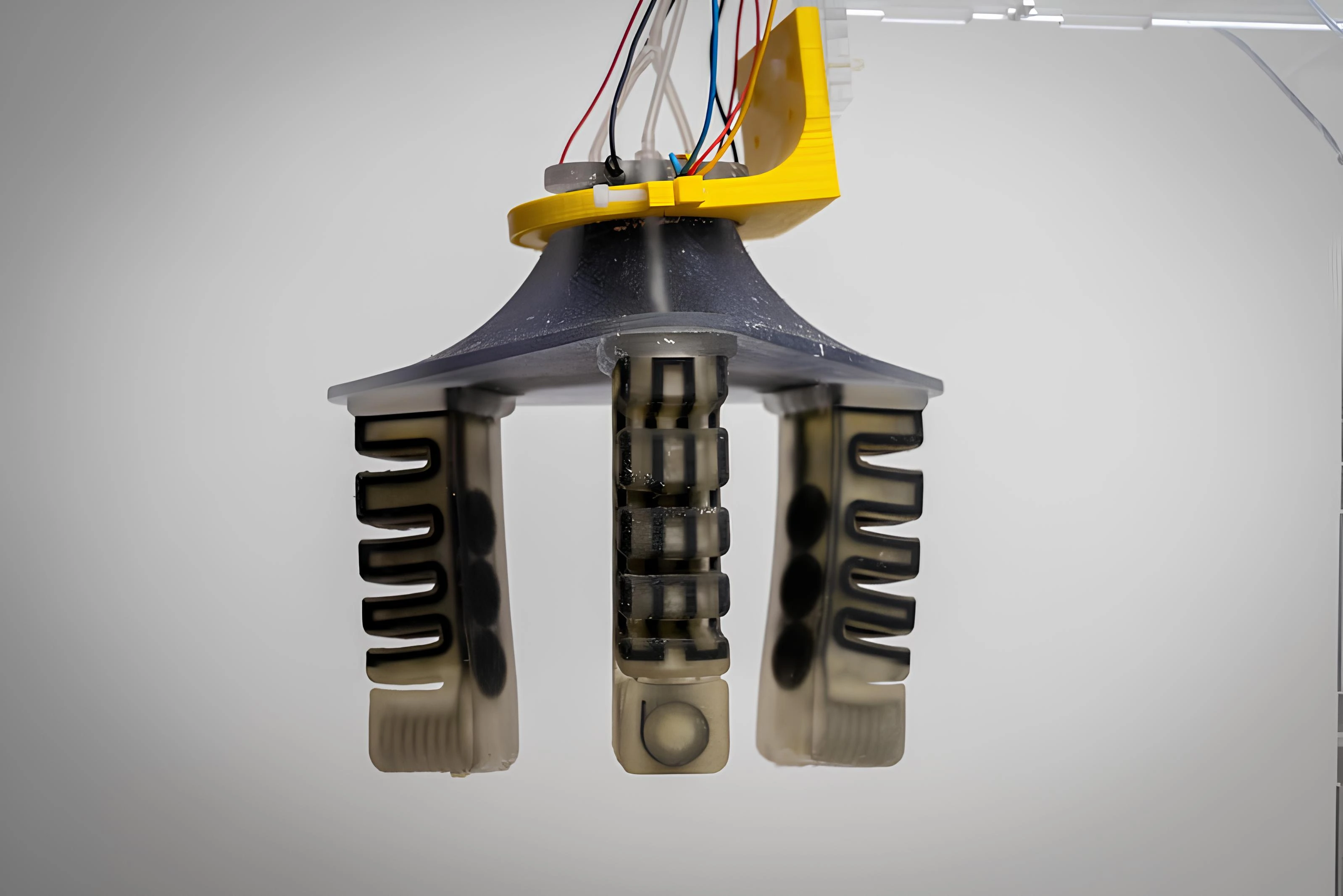 3D printed Soft Robot